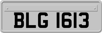 BLG1613