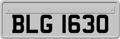 BLG1630