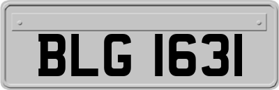 BLG1631