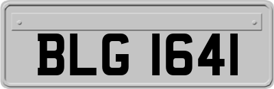 BLG1641
