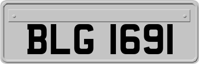 BLG1691
