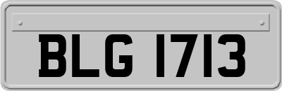 BLG1713