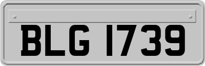 BLG1739