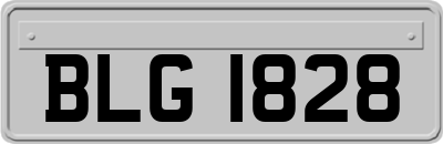 BLG1828