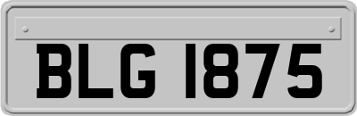 BLG1875
