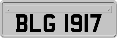 BLG1917