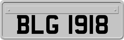 BLG1918