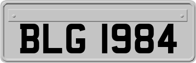 BLG1984