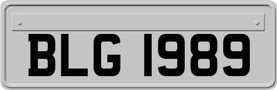BLG1989