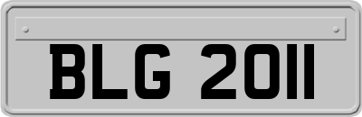 BLG2011