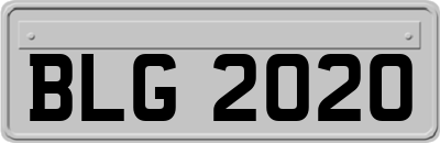 BLG2020