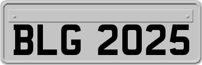 BLG2025