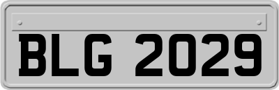 BLG2029