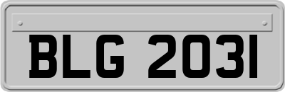 BLG2031