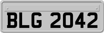 BLG2042