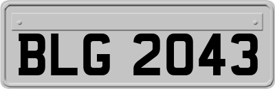 BLG2043
