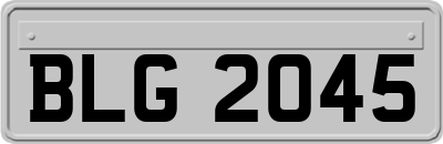 BLG2045