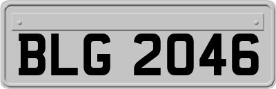 BLG2046