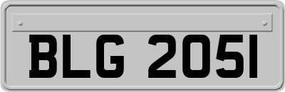 BLG2051