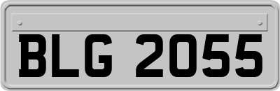 BLG2055