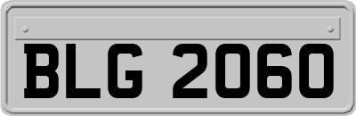 BLG2060