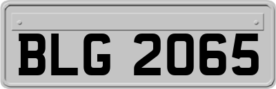 BLG2065