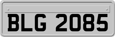 BLG2085