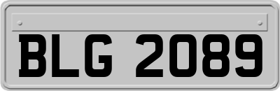 BLG2089
