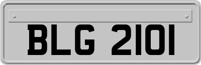 BLG2101
