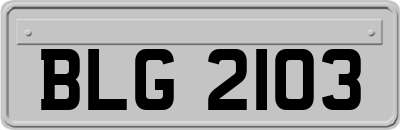 BLG2103