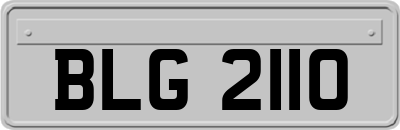 BLG2110