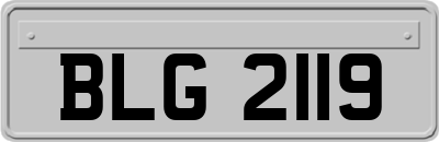 BLG2119