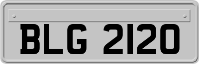 BLG2120