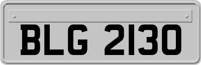BLG2130