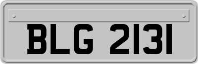 BLG2131