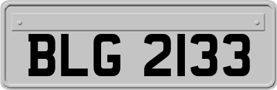 BLG2133