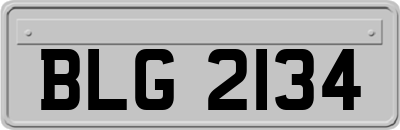 BLG2134