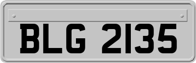 BLG2135