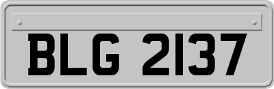 BLG2137