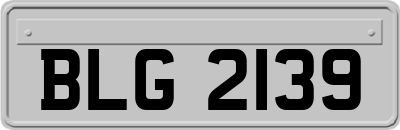 BLG2139