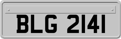 BLG2141