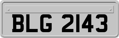 BLG2143