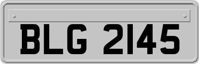 BLG2145