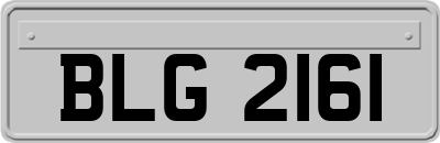 BLG2161