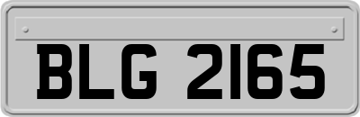 BLG2165