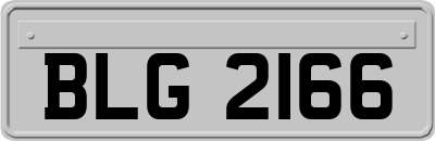 BLG2166