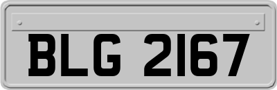BLG2167