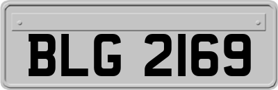 BLG2169