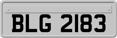 BLG2183