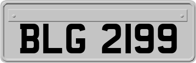 BLG2199